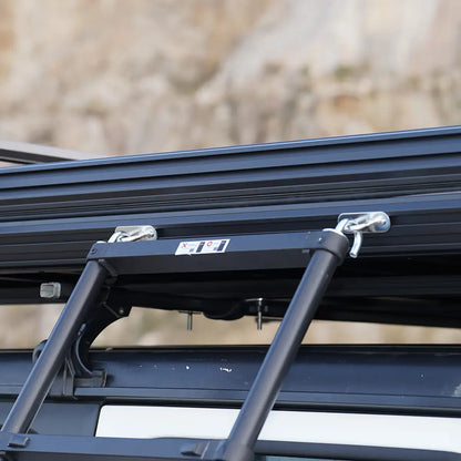 Wild Land Ladder Beugels